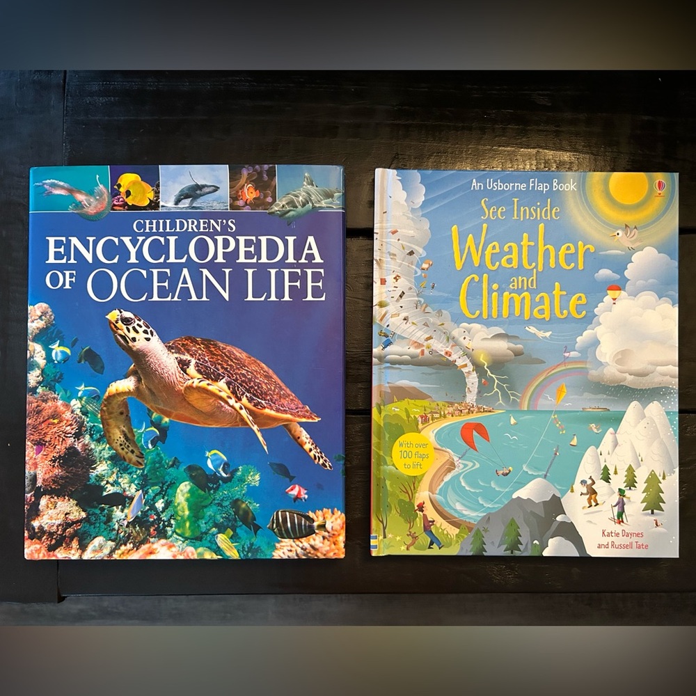 Children's Ocean Life Encyclopedia and Weather/ Climate Flap Book Set